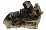 Dark Smoky Quartz Crystal Cluster - Brazil #124602-1